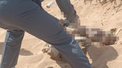 تمارة :  العثور على رضيع بشاطئ الأميرات بالهرهورة يستنفر السلطات  الامنية