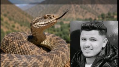 وفاة الشاب مصطفى أيت واكريم بعد لدغة أفعى تفتح من جديد ملف الخدمات الصحية بالمناطق الجبلية