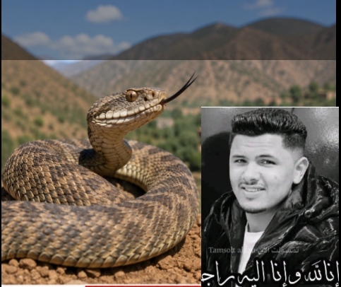 وفاة الشاب مصطفى أيت واكريم بعد لدغة أفعى تفتح من جديد ملف الخدمات الصحية بالمناطق الجبلية